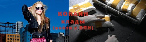 дурь Арсеньев