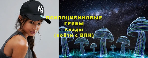 дурь Арсеньев